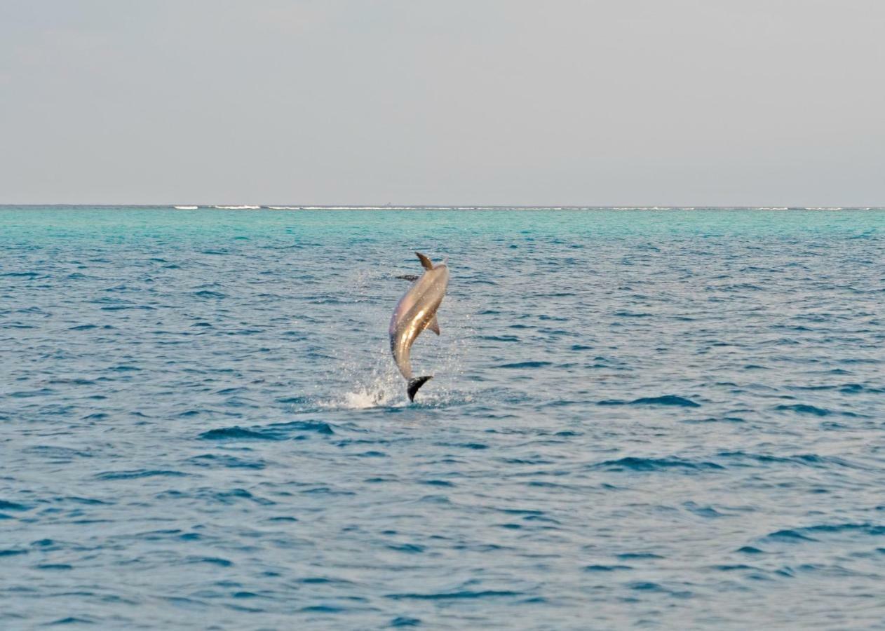 Ocean Village Maldives Holhudhoo Eksteriør billede